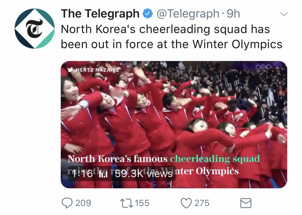 daily-viper-thetelegraph-north-korea-cheerleading